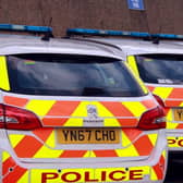 Police are seeking the woman who attacked the pair in a Doncaster street.
