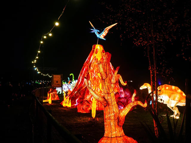 Yorkshire Wildlife Park winter illuminations 2025