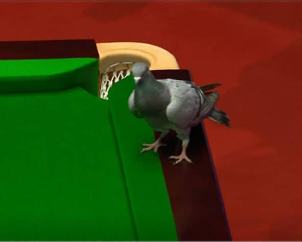 The pigeon landed on the table during the clash between Mark Selby and Yan Bingtao.