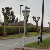 The trees can be seen stretching from Sandall Rise down to Thornhill Avenue