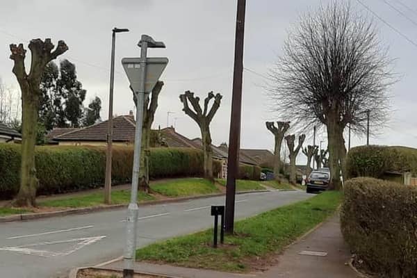 The trees can be seen stretching from Sandall Rise down to Thornhill Avenue