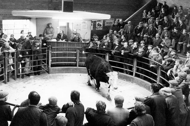 Business as usual in April 1989 as Doncaster cattle market swings back into action at the official re-opening