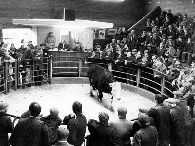 Business as usual in April 1989 as Doncaster cattle market swings back into action at the official re-opening
