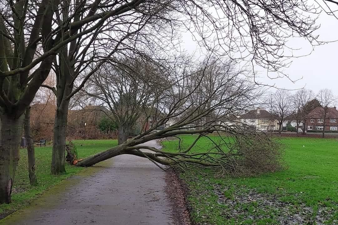 Walls and trees down and flooding as Storms Elin and Fergus batter Doncaster 