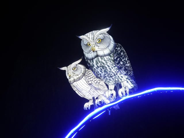 Yorkshire Wildlife Park winter illuminations 2025