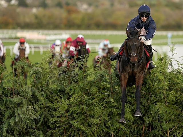 Veteran Irish handler Mouse Morris is dreaming of another Grand National fairytale after victory in the Aintree showpiece with Rule The World eight years ago. This sturdy 10yo is one of the most experienced campaigners in the field, with 43 runs to his name, but when he tried these fences in the Topham Trophy two years ago, he took a heavy fall.