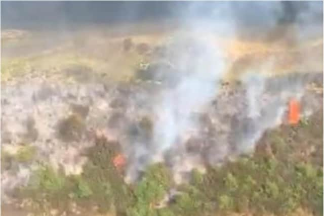 The fire devastated huge swathes of Hatfield Moors.