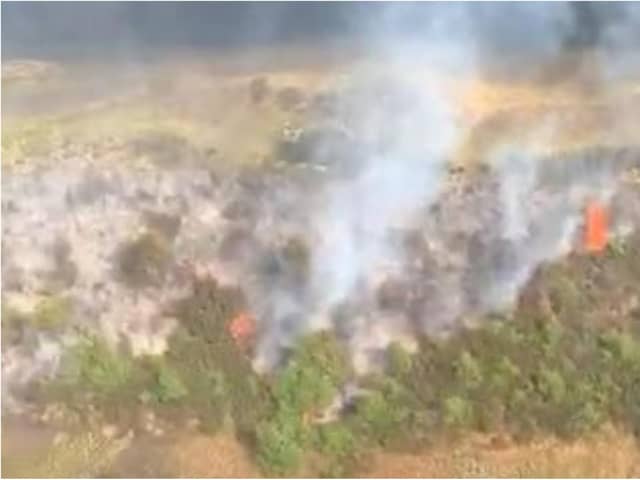 The fire devastated huge swathes of Hatfield Moors.