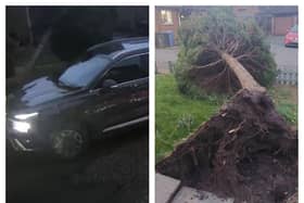 The tree can be seen crashing down behind the car at a house in Skellow.
