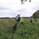 A local pre-lockdown walk from Dunsville for Doncaster Ramblers