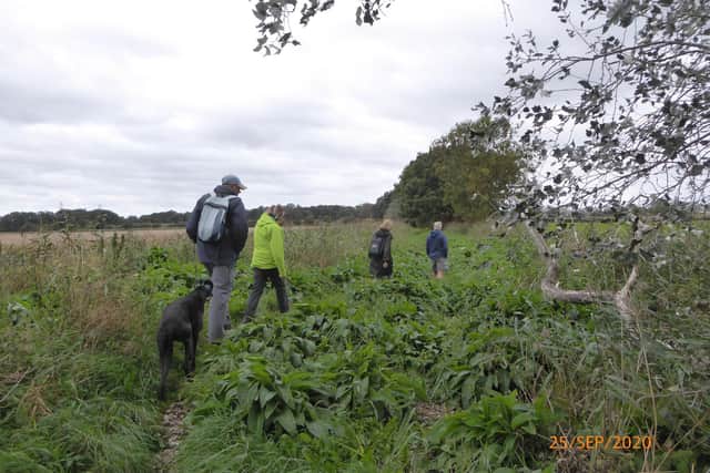 A local pre-lockdown walk from Dunsville for Doncaster Ramblers