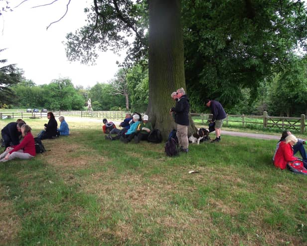 Picnic by a lake