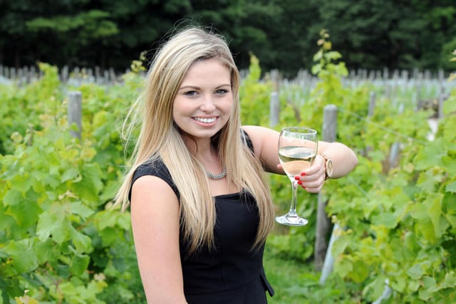 The balmy Great British summer weather has made for bumper harvests across the country, meaning home is where the heart is for wine-lovers nationwide. Pictured in 2013 was Brogan Renshaw, 20 from West Yorkshireat Holmfirth vineyard