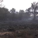 Destruction caused by the fire at Hatfield Moors (pic: Natural England Yorkshire and Northern Lincolnshire)
