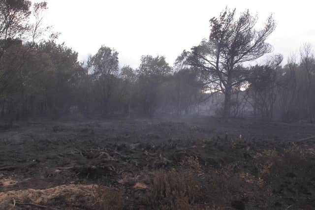 Destruction caused by the fire at Hatfield Moors (pic: Natural England Yorkshire and Northern Lincolnshire)