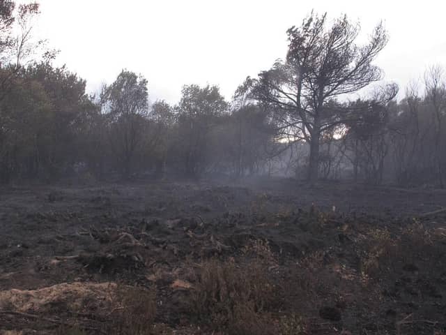 Destruction caused by the fire at Hatfield Moors (pic: Natural England Yorkshire and Northern Lincolnshire)