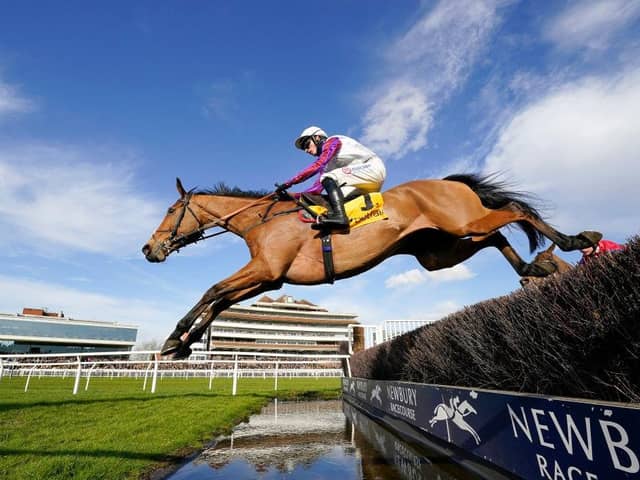 Bravemansgame is in action this weekend. Picture: Alan Crowhurst/Getty Images