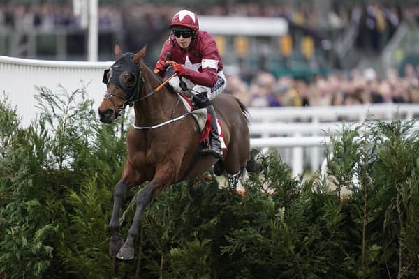 Tiger Roll. Photo by Alan Crowhurst/Getty Images