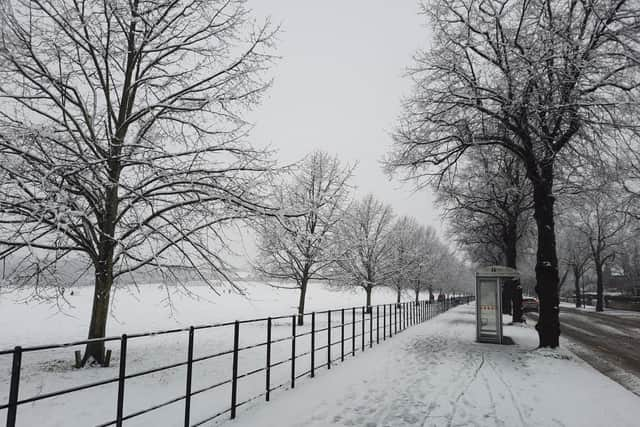 Town Moor Avenue, Doncaster (Photo: Darren Burke)