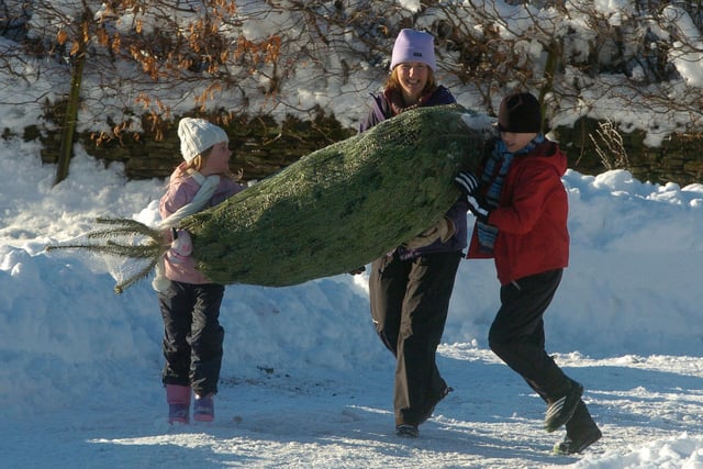The Longshaw Estate managed to stay open, despite the snow, in 2010, to sell its trees to the public Amy, six and Thomas, 10 help mum, Julie Shaw carry the tree