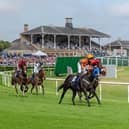 Less than 100 days until the Betfred St Leger Festival begins in Doncaster.