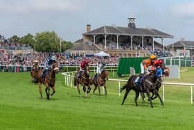 Less than 100 days until the Betfred St Leger Festival begins in Doncaster.