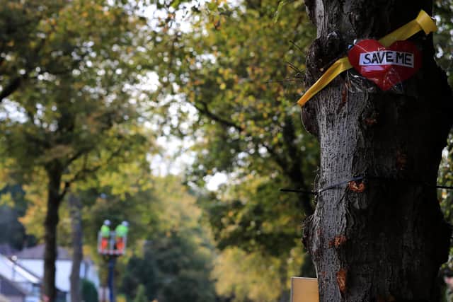 Just 9.7 per cent of Doncaster is covered by trees