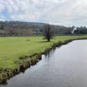 Along the river bank