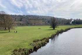 Along the river bank