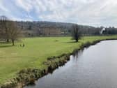 Along the river bank