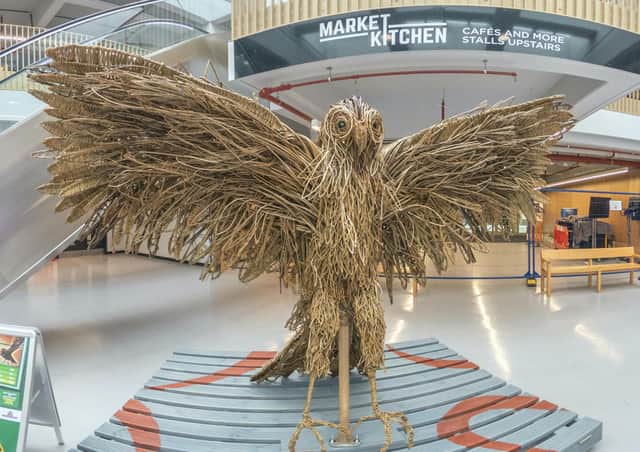 The kestrel on family fun trail project called Twisted – Fantastical Beasts