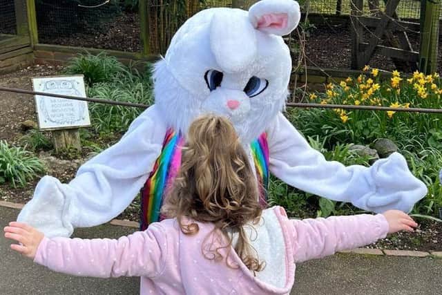 Meet the Easter Bunny at the Tropical Butterfly House.