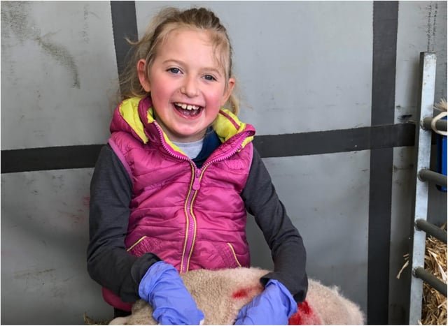 Haley Mason helping out on the farm.