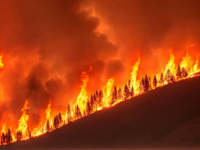 Climate fears over holiday plans (Adobe)