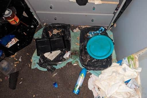 Squalid conditions for one animal.