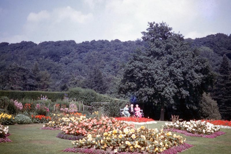 A view of the flower beds at Whirlow Brook Park in the 1960s