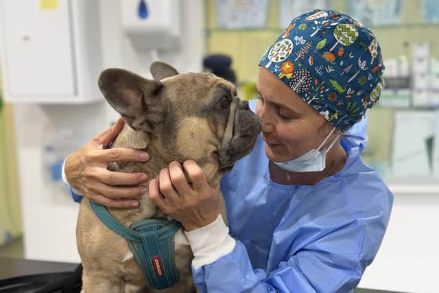 Senior Vet Julie at The Pet Vet Doncaster with one of her patients.