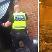 Cannabis warrants in Mexborough have resulted in the seizure of over £1m worth of drugs.
