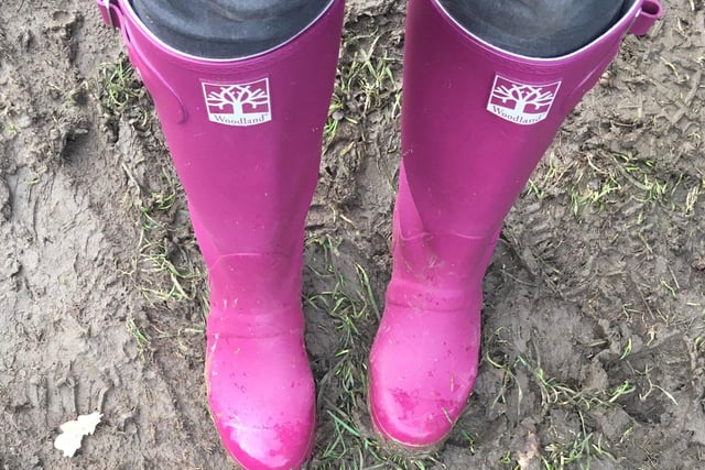 Donated to The Young Foundation’s Museum of 2020 by Jillian Pitt: “This pair of wellies have kept my spirits up during this year. I have happily trudged through mud and watched the seasons change.”
