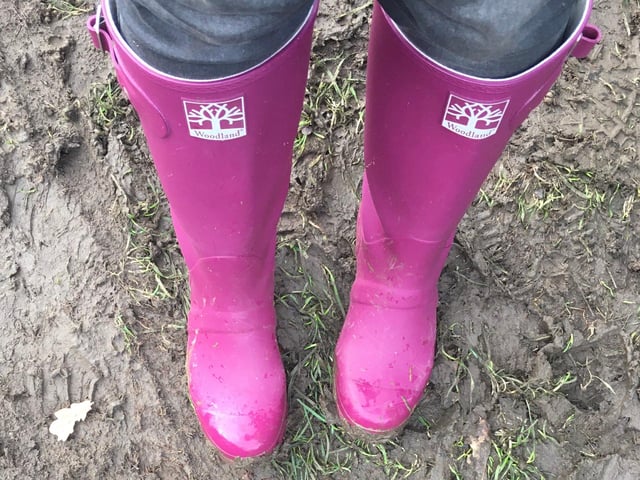 Donated to The Young Foundation’s Museum of 2020 by Jillian Pitt: “This pair of wellies have kept my spirits up during this year. I have happily trudged through mud and watched the seasons change.”