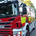 Fire crews rescued animals from a house in Doncaster.