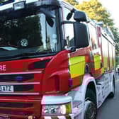 Fire crews rescued animals from a house in Doncaster.