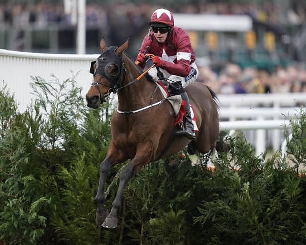 Tiger Roll. Photo by Alan Crowhurst/Getty Images