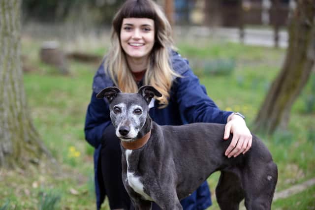 Ellie Brown, Animal Care Assistant, pictured with Greyhound Tallulah. Picture: NDFP-02-03-21-RSPCA 2-NMSY