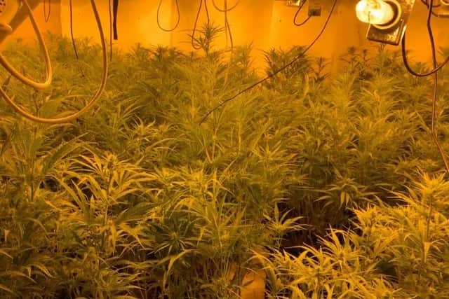 Police found £90,000 of cannabis at the house in Sprotbrough.