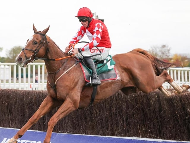 A stamina-laden 8yo who has been considered an ideal type for the National by trainer Gordon Elliott since he thrashed one of Saturday's leading fancies, Mahler Mission, by fully 61 lengths at Cheltenham in October 2022. Acquitted himself well at last year's Festival too, but he's been absent from action for 206 days and it's no secret that he prefers Goodish ground, although rider Danny Gilligan is one of the best young jockeys in the business.
