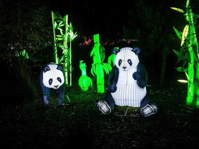 Yorkshire Wildlife Park winter illuminations 2025