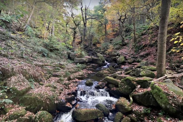 You could also take a trip out to Padley Gorge where you'll find a 4.7 kilometre loop trail located near Hope.