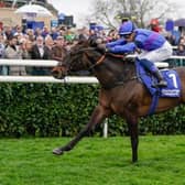 Benoit de la Sayette rides Migration to victory in the Pertemps Network Lincoln at Doncaster. Photo by Alan Crowhurst/Getty Images