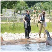 Jobs are at risk at Doncaster's Yorkshire Wildlife Park.